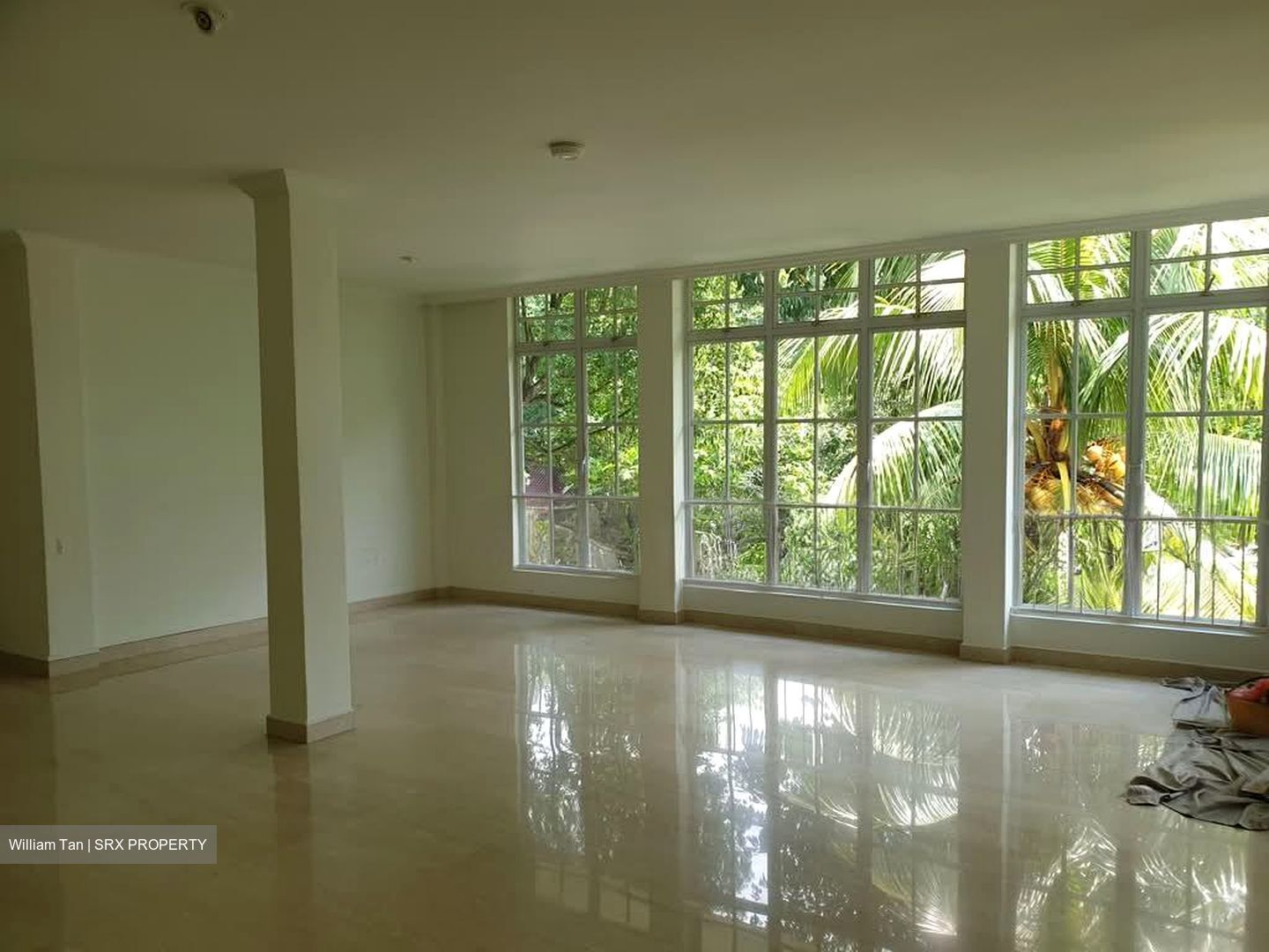 Greenleaf Walk (D10), Apartment #556129421